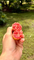 Red Finger Lime Box