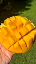 Zillate Mango Box