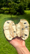 Premium Soursop (Guanabana) Box