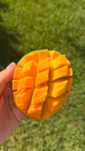 Kesar Mango Box