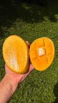 Lemon Zest Mango Box