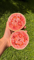 Pink Guava Box