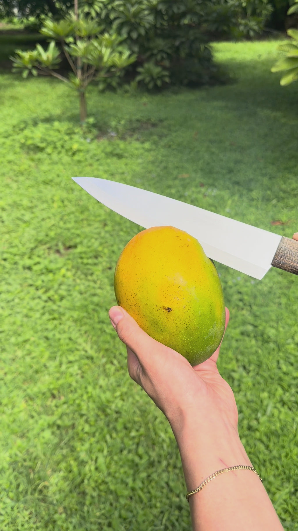 Keitt Mango Box